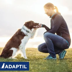 Adaptil Beroligelseshalsbånd til Hunde