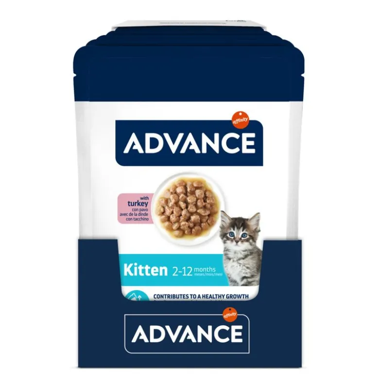 Advance Kitten Kalkun
