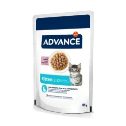 Advance Kitten Kalkun