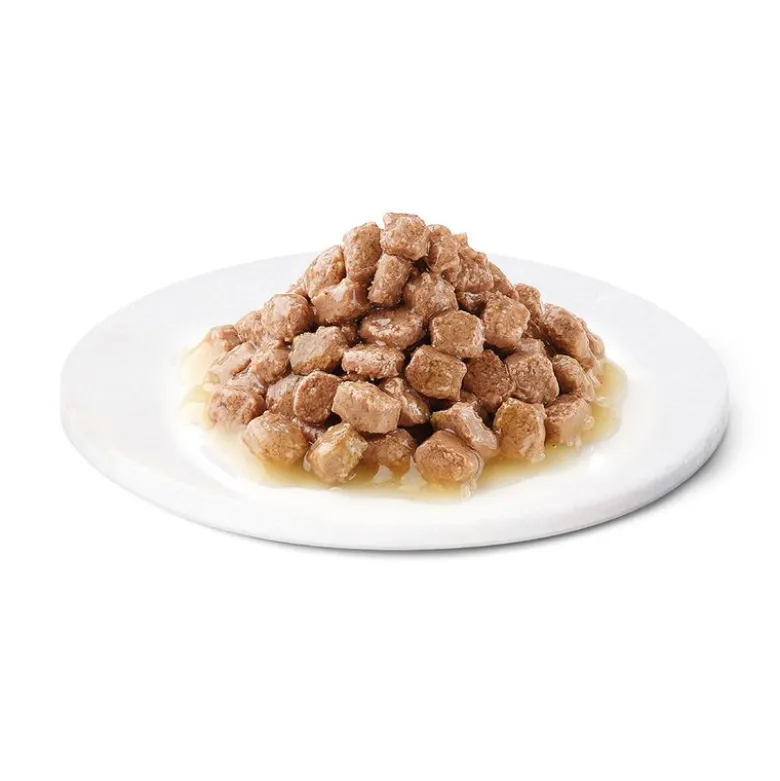 Advance Kitten Kylling