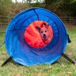 Agility Fun & Sport Sækketunnel