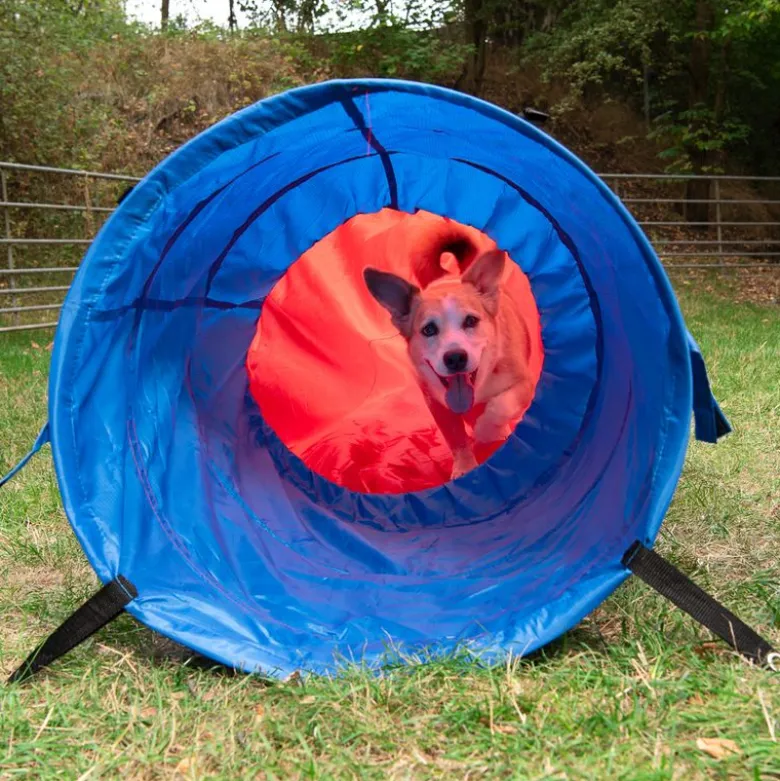 Agility Fun & Sport Sækketunnel