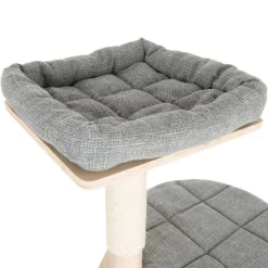 Ankara Kradsetræ