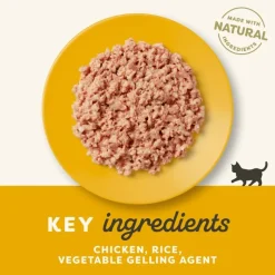 Applaws Kitten dåser i gelé 6 x 70 g