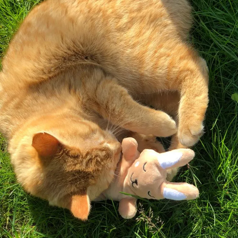 Aumüller Baldi-Bunny hyggekanin kattelegetøj