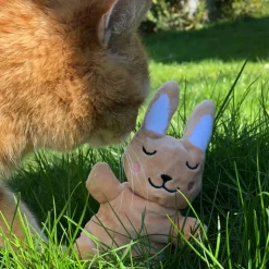 Aumüller Baldi-Bunny hyggekanin kattelegetøj