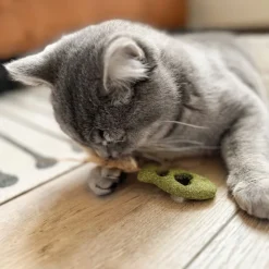 Aumüller fjerfisk til katte