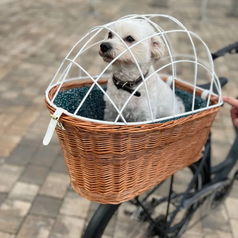 Aumüller hundecykelkurv til bagagebærer med beskyttelsesgitter