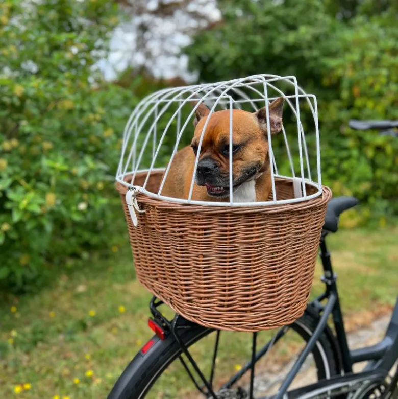 Aumüller hundecykelkurv til bagagebærer med beskyttelsesgitter