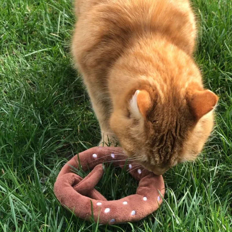 Aumüller kattelegepude Plyskringle