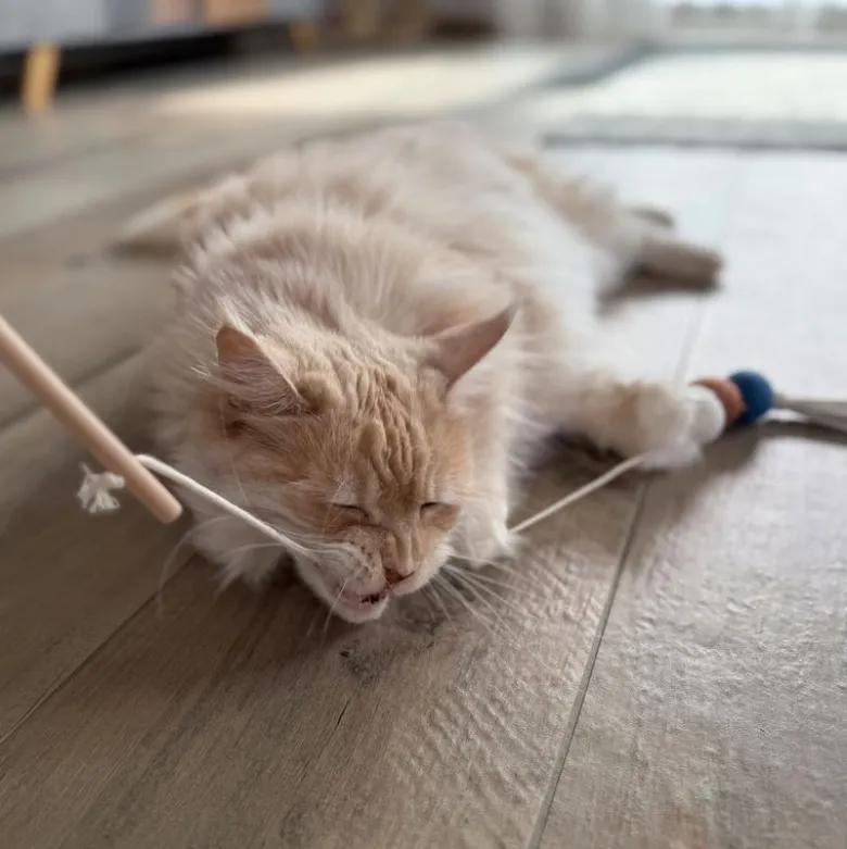 Aumüller kattelegetøj Filoa macramé
