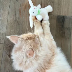 Aumüller kattelegetøj Hoppelhase Harry
