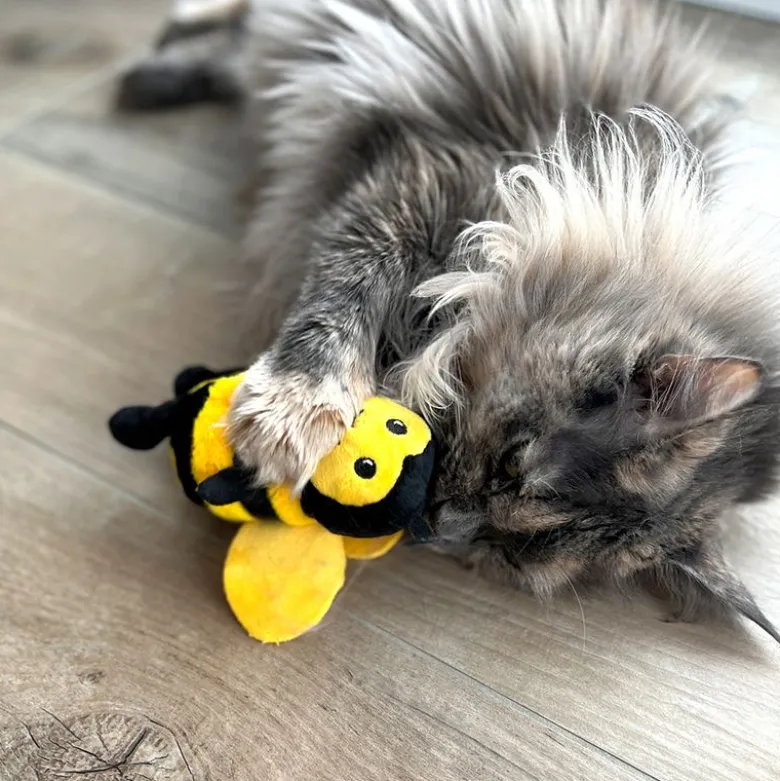 Aumüller kattelegetøj Maggie med katteurt