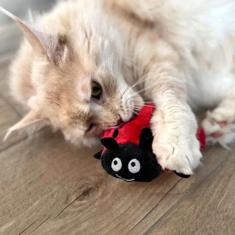 Aumüller kattelegetøj mariehøne Dotty