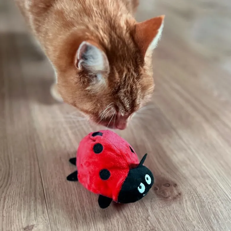 Aumüller kattelegetøj mariehøne Dotty