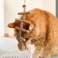 Aumüller tusindben til katte