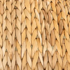 Banana Leaf Bali kradsetræ