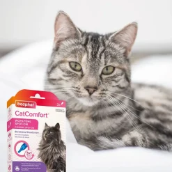 beaphar CatComfort Spot-On