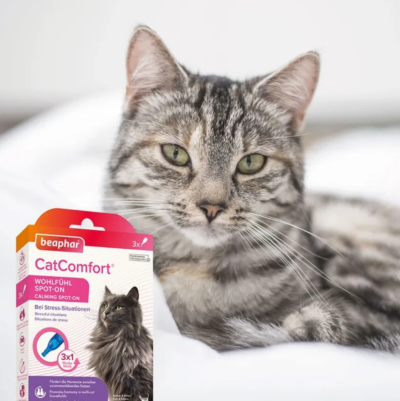 beaphar CatComfort Spot-On
