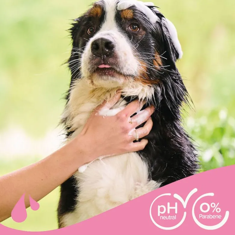 beaphar hunde-shampoo til udfiltring