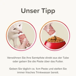 beaphar Kattepasta