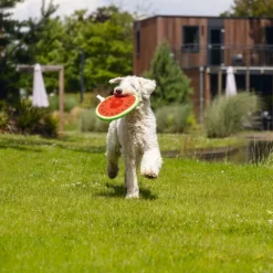 Beeztees hundelegetøj melon Spikie, rød