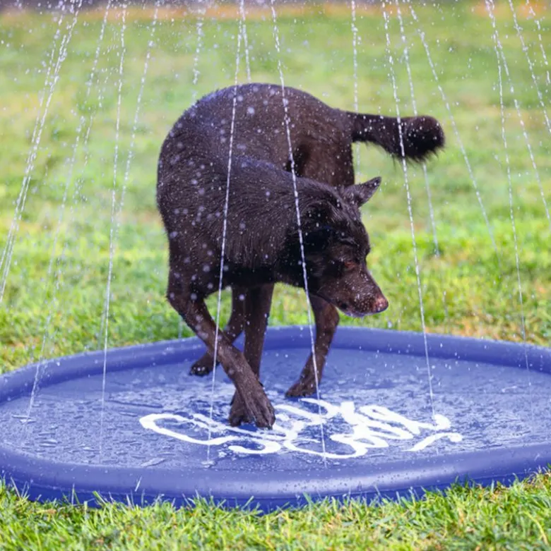 Beeztees sprinklermåtte Stay Cool, blå