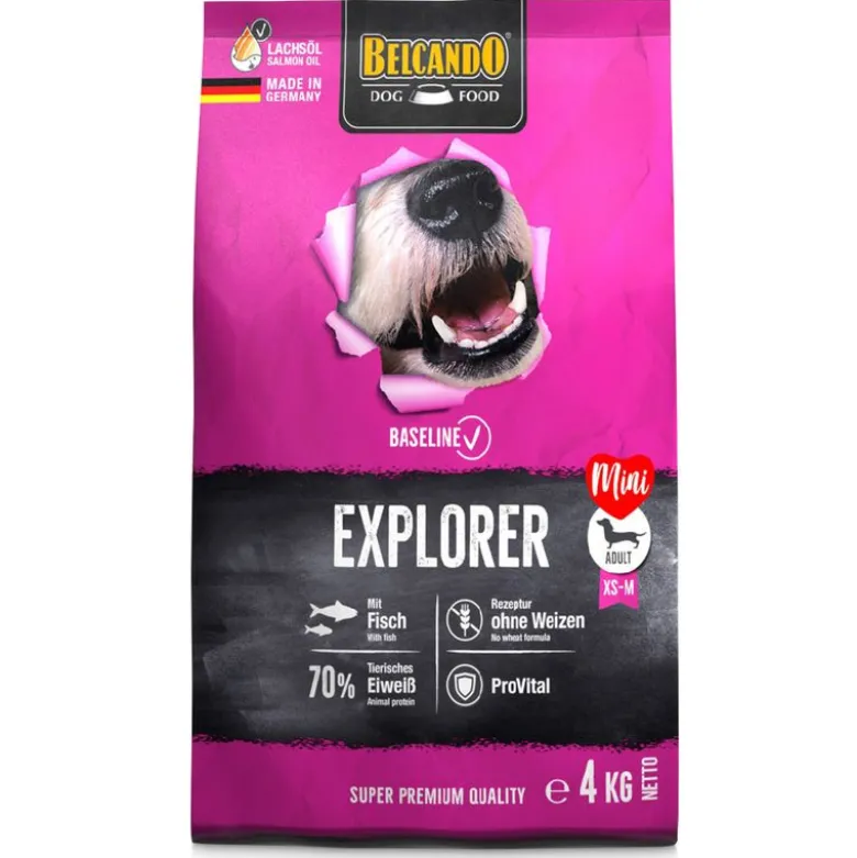 Belcando Baseline Explorer