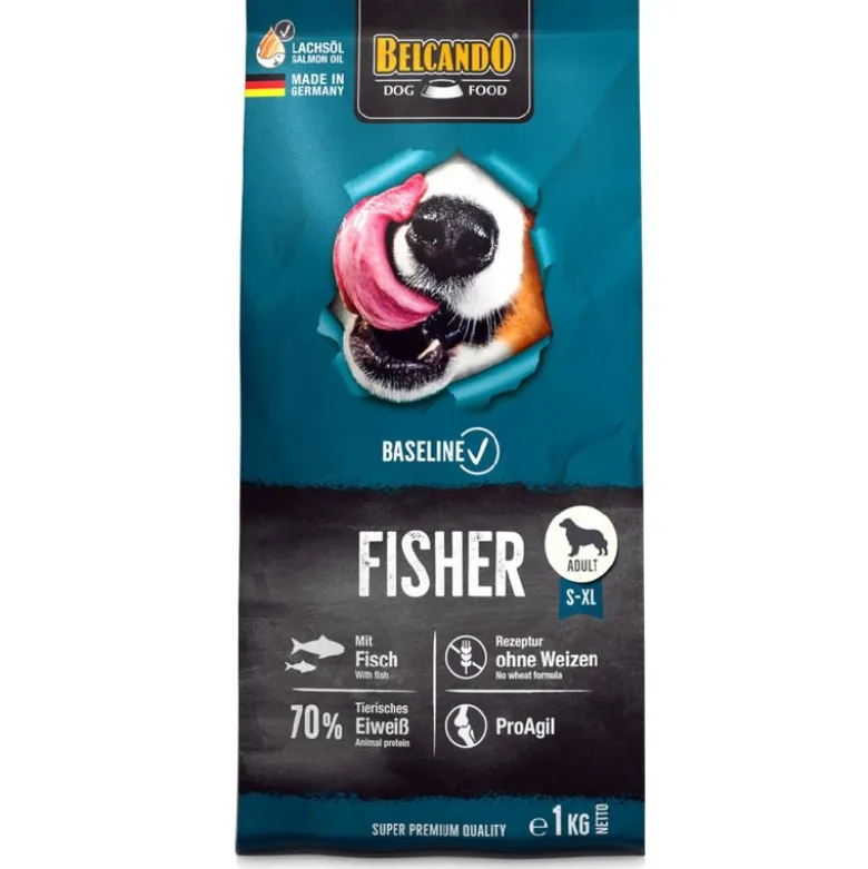 Belcando Baseline Fisher