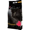 Benek canadisk kat natur