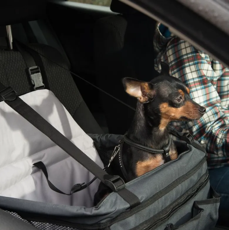 Bilsæde Booster hundetransport