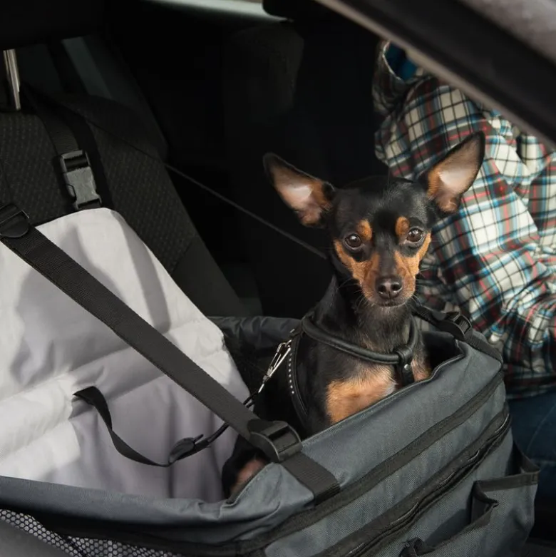 Bilsæde Booster hundetransport