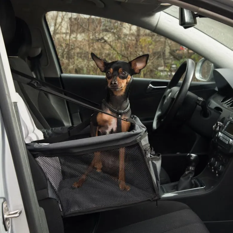 Bilsæde Booster hundetransport