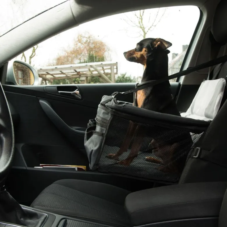 Bilsæde Booster hundetransport