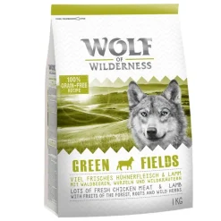 Blandet pakke: Wolf of Wilderness Adult
