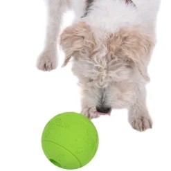 Boomer Snackball
