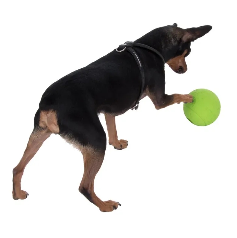 Boomer Snackball