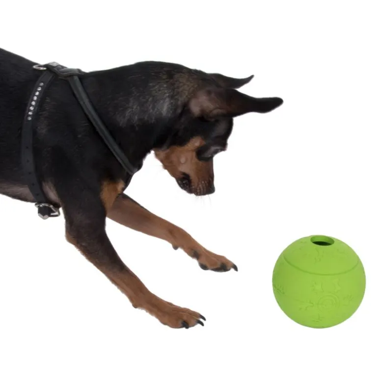 Boomer Snackball