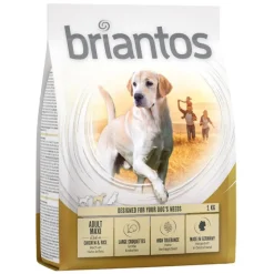 Briantos Adult Maxi Kylling & Ris