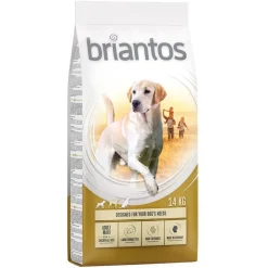 Briantos Adult Maxi Kylling & Ris