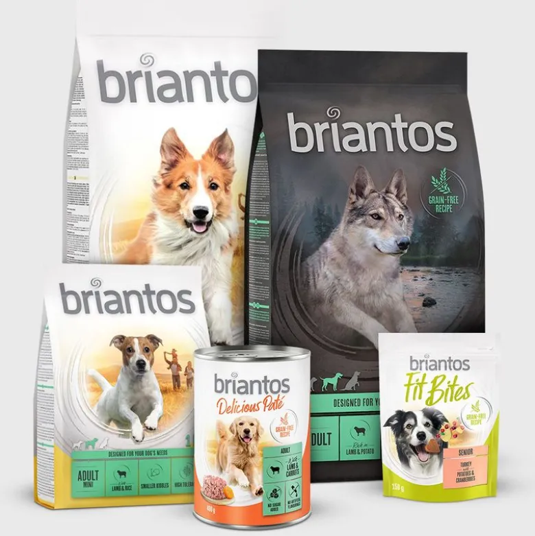 Briantos Delicious Paté 6 x 800 g