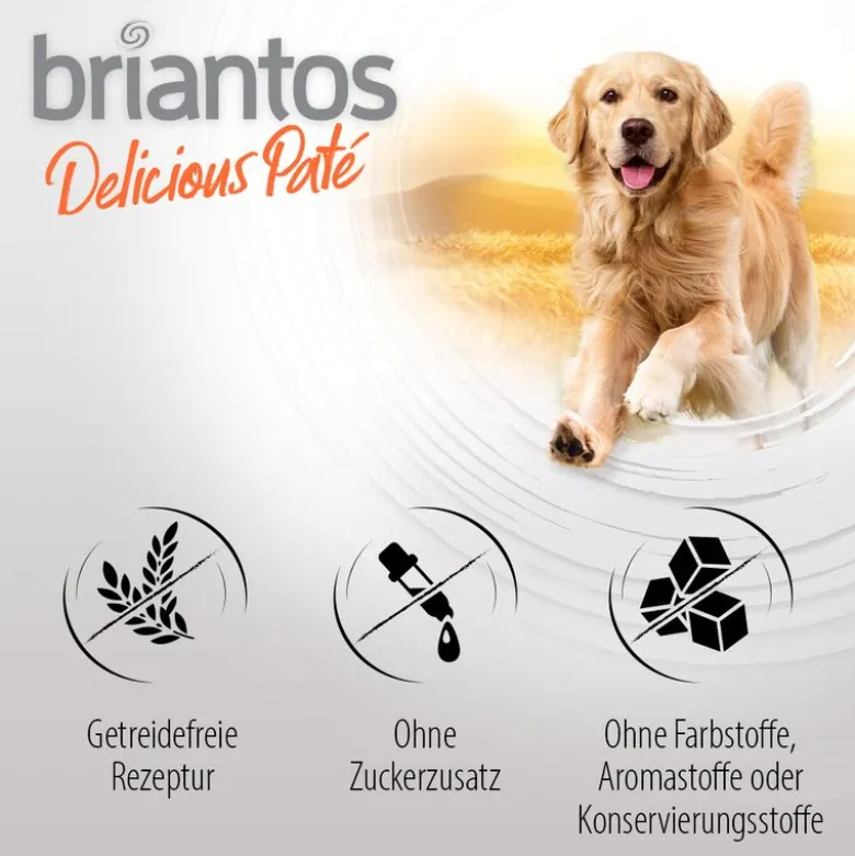 Briantos Delicious Paté 27 x 300 g