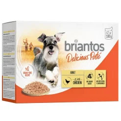 Briantos Delicious Paté 12 x 100 g