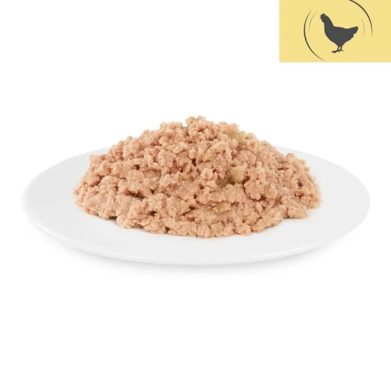 Briantos Delicious Paté 12 x 100 g