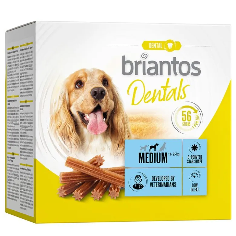 Briantos Dental snacks til hunde