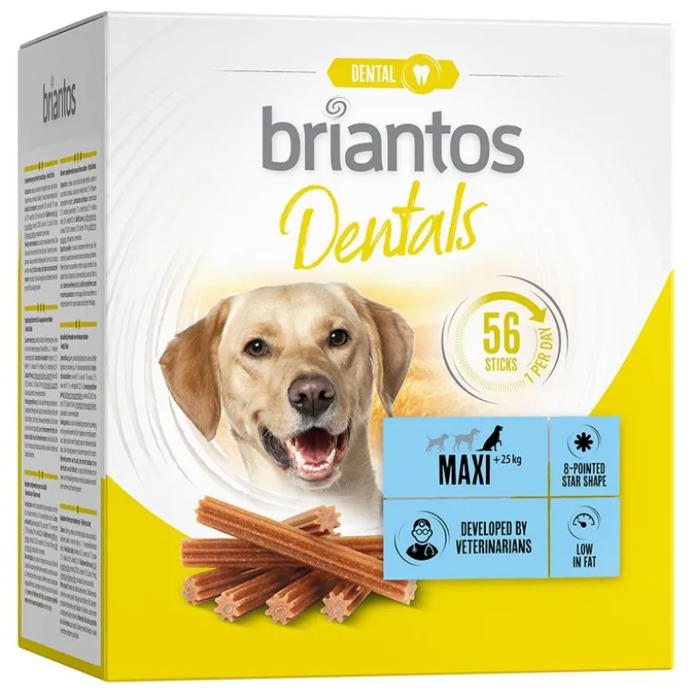 Briantos Dental snacks til hunde