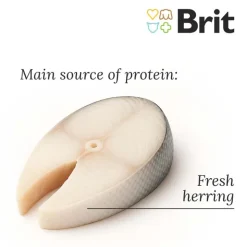 Brit Care Cat Grain-Free Insect Food Allergy Management