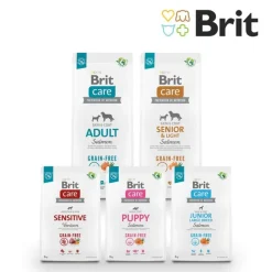 Brit Care Dog Grain-free Adult Laks & Kartoffel