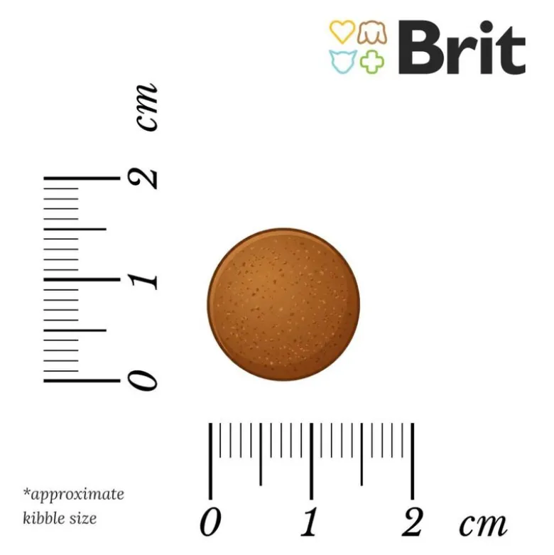 Brit Care Dog Grain-free Adult Laks & Kartoffel