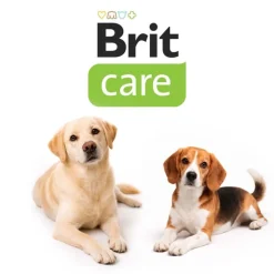 Brit Care Dog Grain-free Senior & Light Laks & Kartoffel